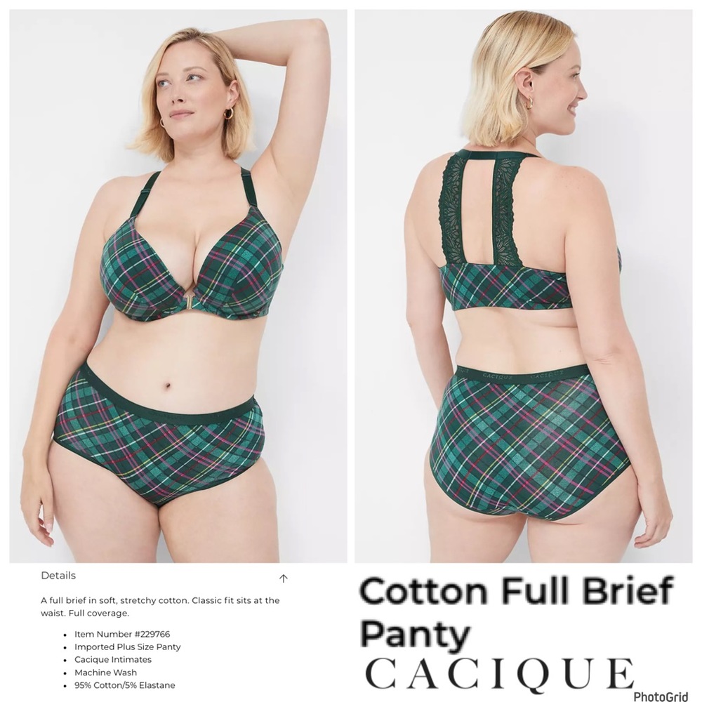 🌟🌟🌟Cacique 22/24 plus size green plaid cotton full brief panty NWT